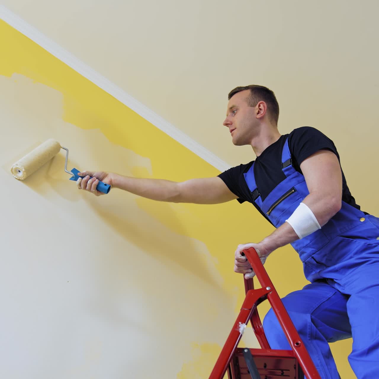 Professional craftsman painting walls indoors. Young male worker in blue overalls standing on a building ladder and use paint roller. View from below