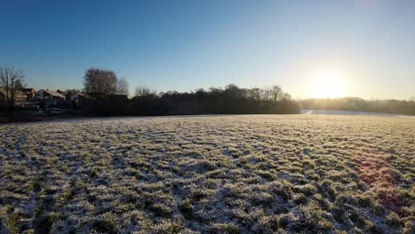 Fast-FPV-flying-through-tree-branch-over-snowy-sunlit-winter-meadow-during-golden-hour-sunrise