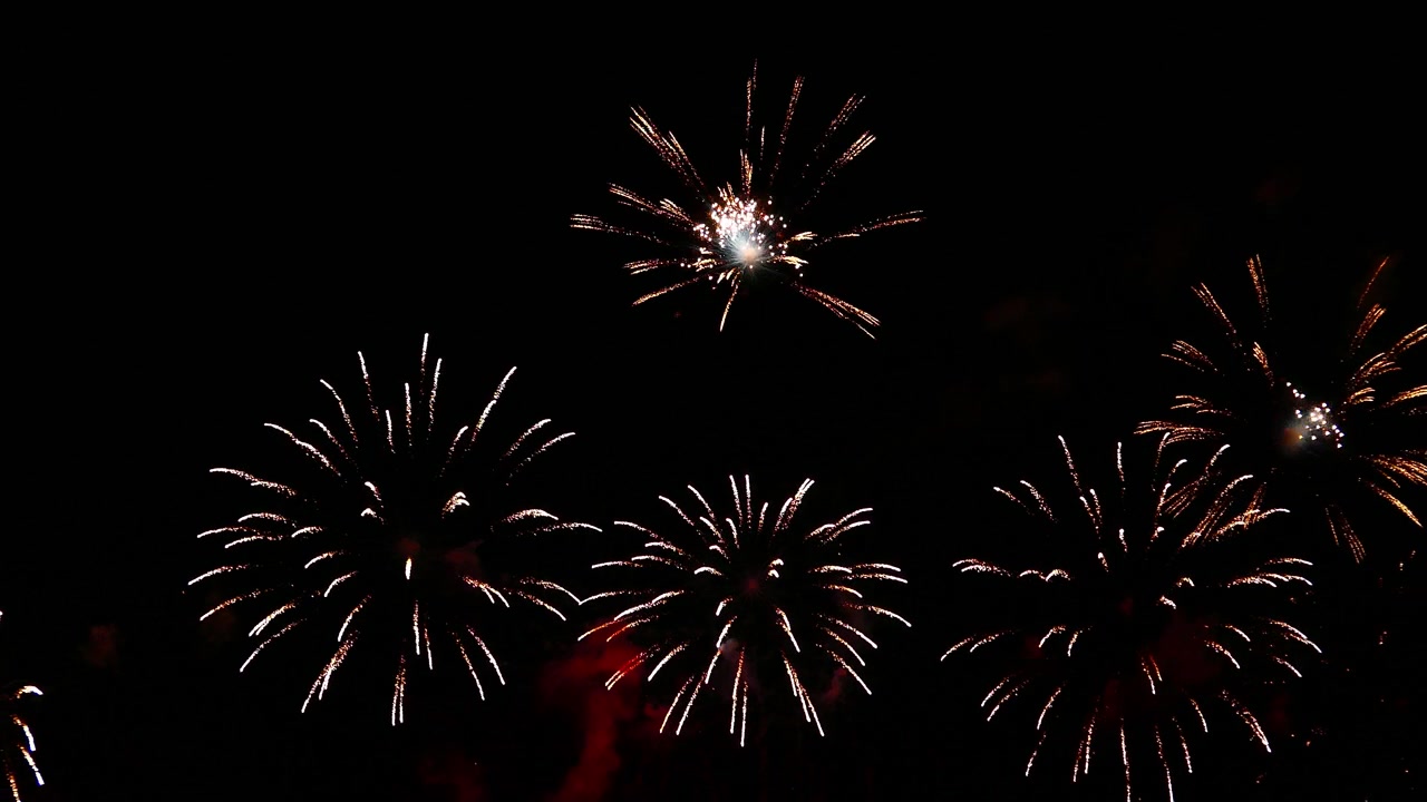 Beautiful celebration abstract colorful firework display at night background