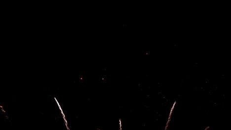hermosa celebración abstracto colorido espectáculo de fuegos artificiales en el fondo de la noche