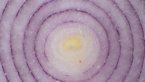 slice the red onion under water with air bubbles.