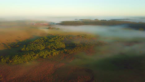 Early-morning-mist,-grasslands,-rainforest-and-pine-trees-just-after-sunrise