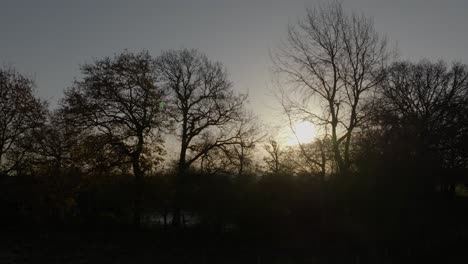 sun trough trees early morning pond warwickshire autumn winter season aerial countryside