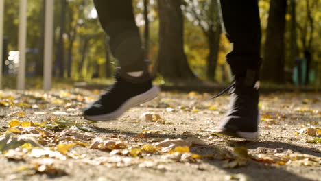 person walking in an autumn park
