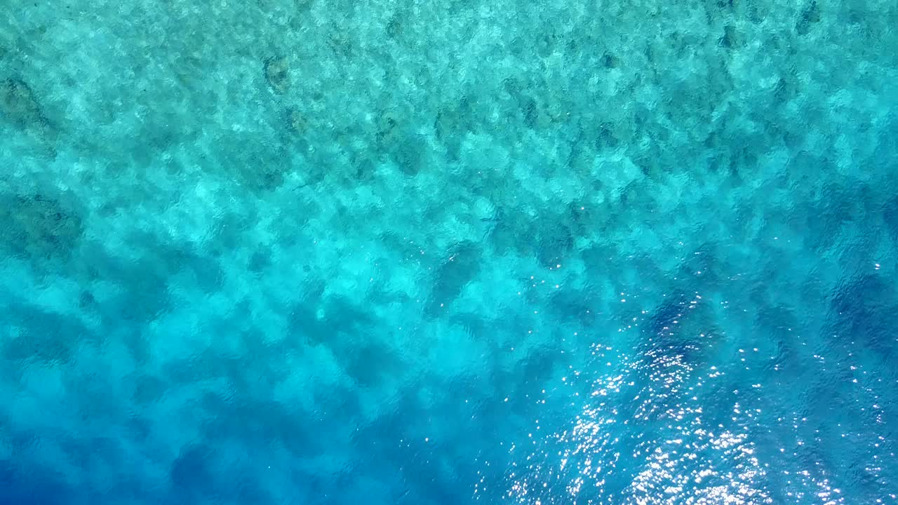 화창한 날 바하마 해변 옆 산호초의 아름다운 해양 생물 - 공중 촬영