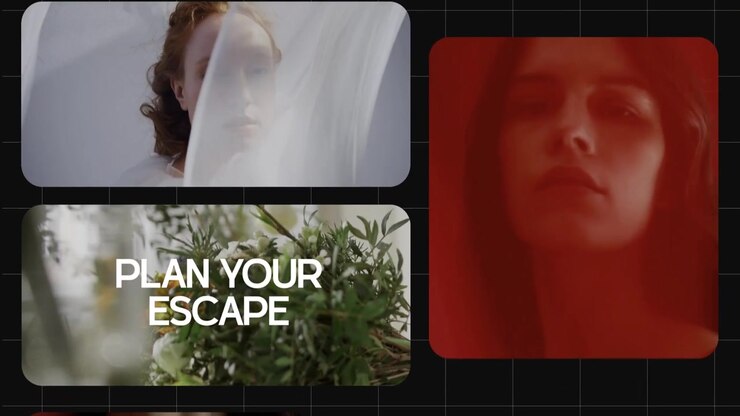 Multiscreen Collection Slideshow