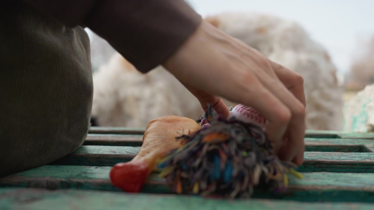 Fluffy white dog lies in background while person places colorful toys on old green wooden surface. fabric bag is visible next to various pet playthings including rope and plush items