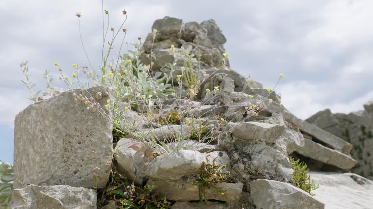 Roman ruins from the ancient province Capital of Dalmatia. Salona, Croatia, clip 8