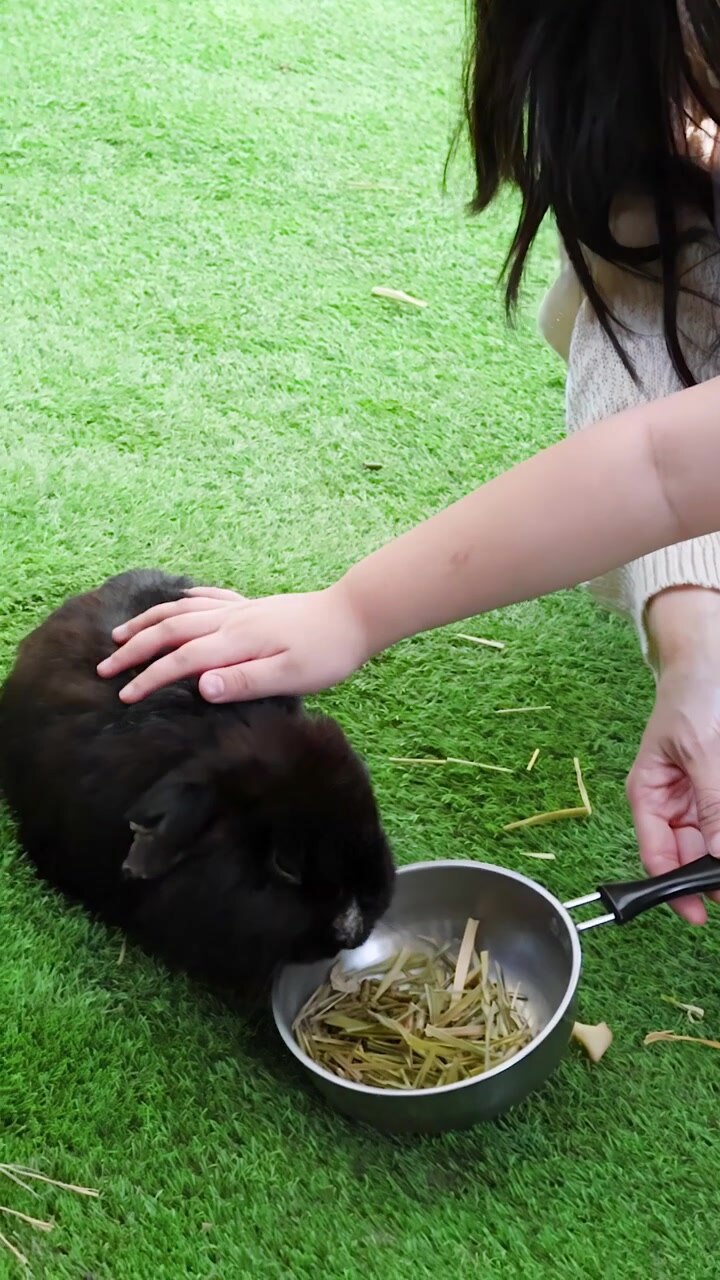 Junges Mädchen und Frau hocken auf Gras und füttern ein schwarzes Kaninchen aus einer Pfanne.