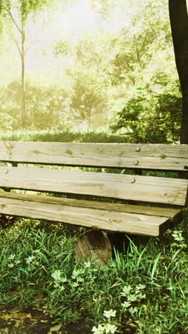 elegant wooden bench surrounded by lush greenery in tranquil park setting