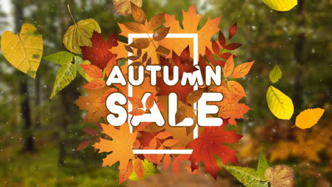 animation of text autumn sale, with falling leaves and purple trails over autumn forest background