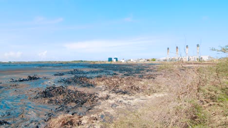 Mangroves-destroyed-and-covered-in-crude-oil-with-an-oil-refinery-in-the-background-of-an-Asphalt-Lake,-Curacao