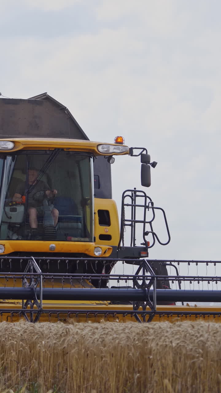 Farming and agriculture harvesting. Harvesting of wheat field with combine. Vertical video