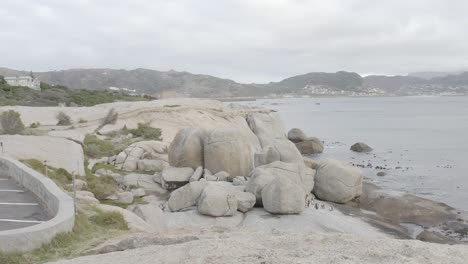 boulders beach, cape town, south africa on a cloudy day