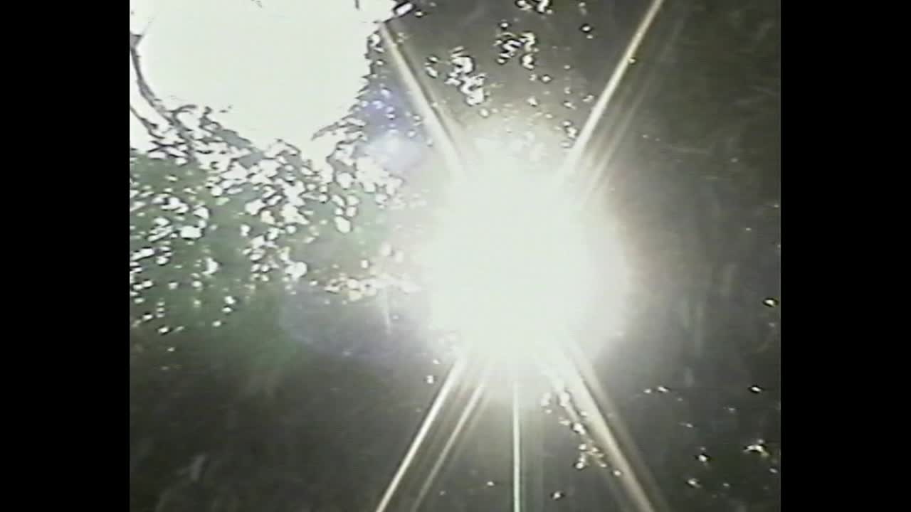 Luz del sol a través de los árboles