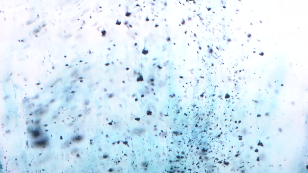 추상적인 파란색 파우더 입자