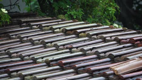 rain and hail fall on a slate roof