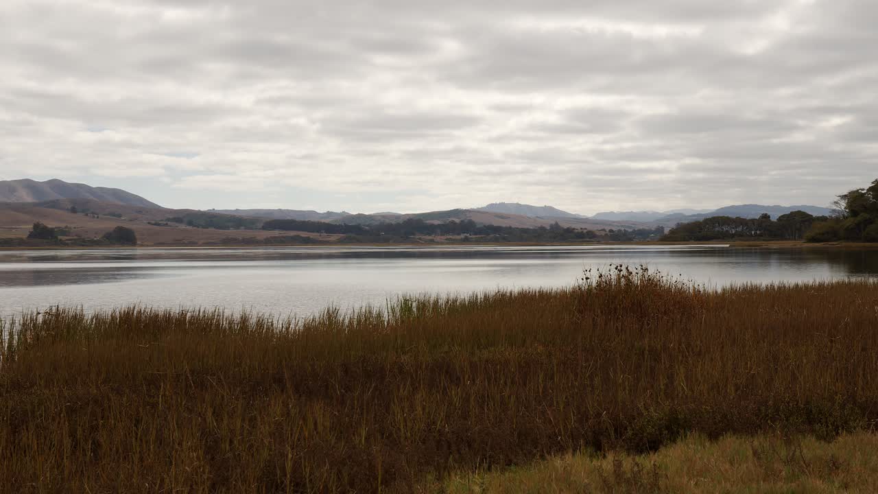 panorámica, luego toma estática de la bahía de tomales en un día parcialmente nublado con un pantano marrón en primer plano y colinas en la parte posterior