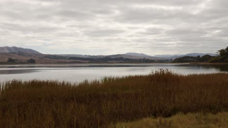 Panorámica,-Luego-Toma-Estática-De-La-Bahía-De-Tomales-En-Un-Día-Parcialmente-Nublado-Con-Un-Pantano-Marrón-En-Primer-Plano-Y-Colinas-En-La-Parte-Posterior