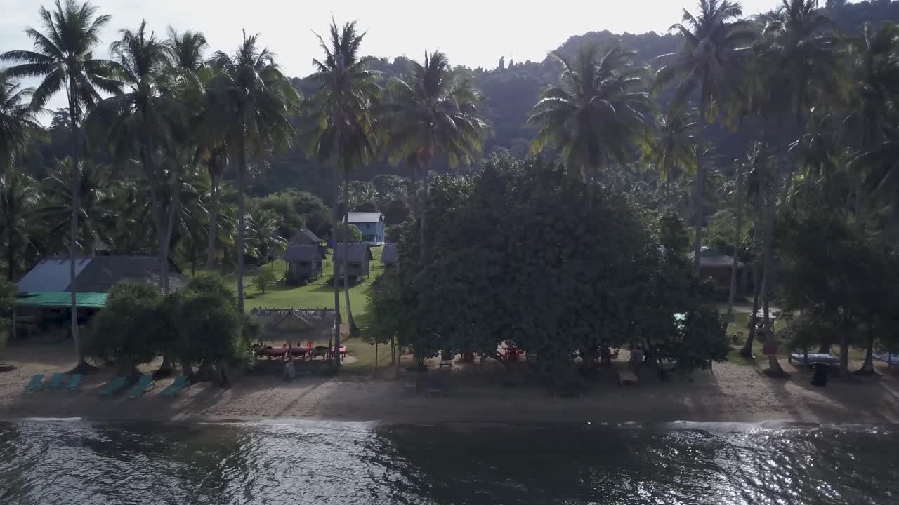 Tropical Beach with Coconut Trees