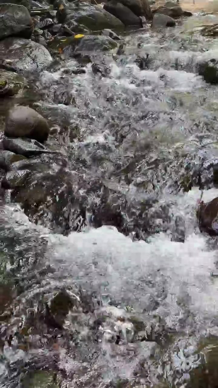 Acqua cristallina che scorre sulle rocce in un ruscello nel bosco