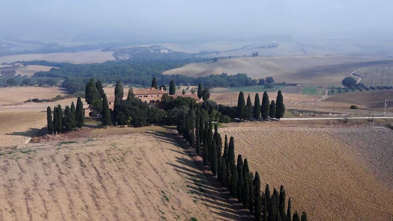 cipres avenida perfecta vista aérea superior vuelo niebla de la mañana valle de la toscana italia otoño 23