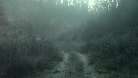 Mist-and-snowflakes-swirl-in-morning-light-over-frozen-country-road