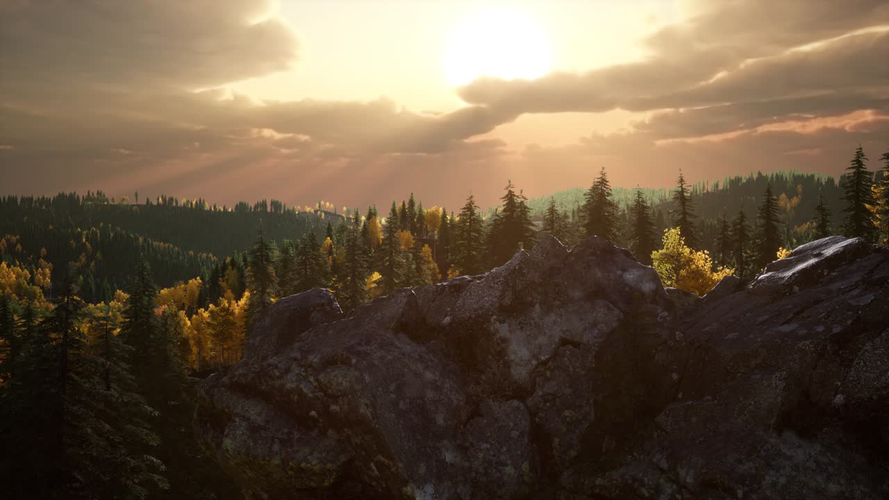 летний лес в горном ландшафте