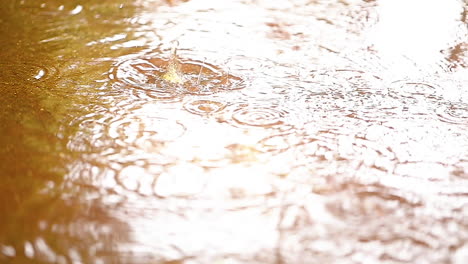 Gotas-De-Lluvia-Cayendo-En-Un-Charco-Filmadas-En-Cámara-Lenta