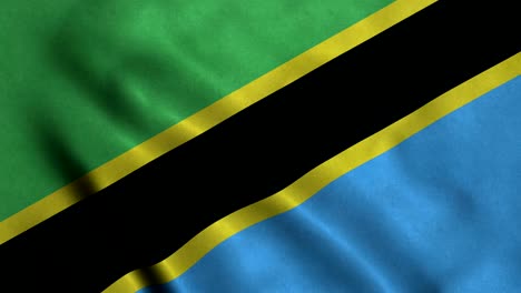 4k seamless loopable flag of tanzania