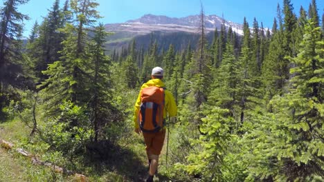 Couple-hiking-in-the-mountain-4k