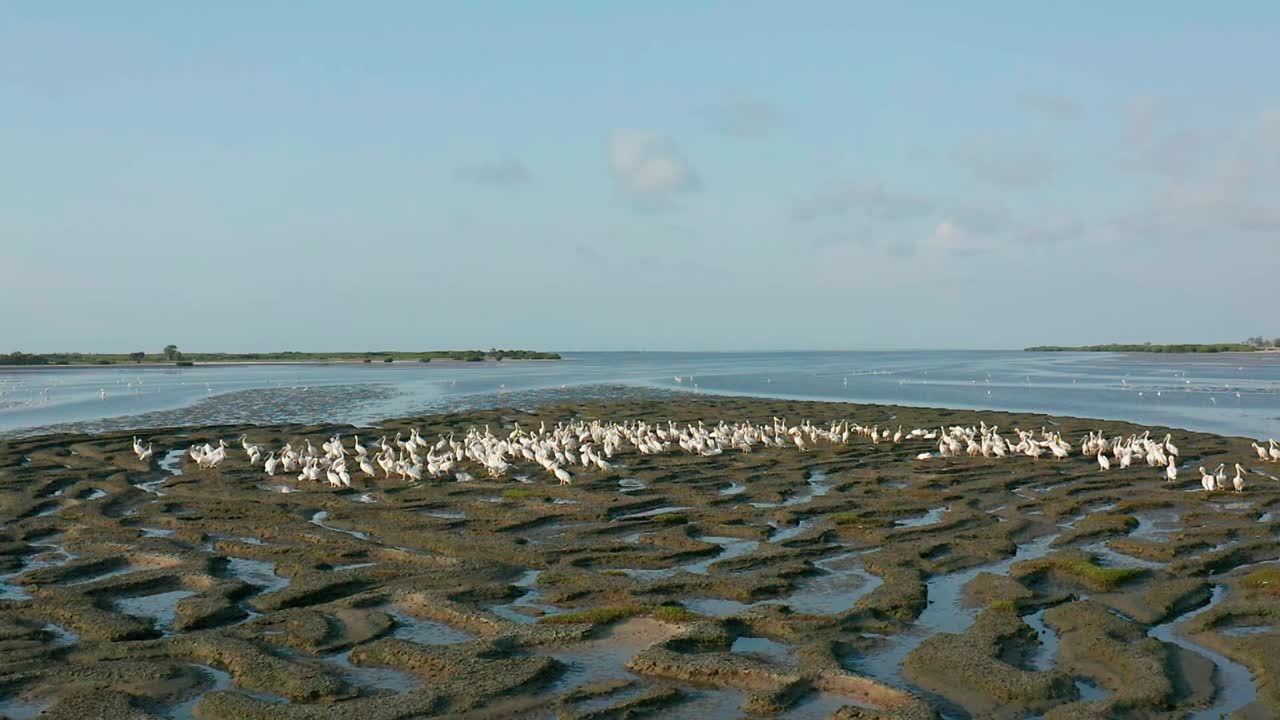 mussulo 조류 보호 구역의 반도