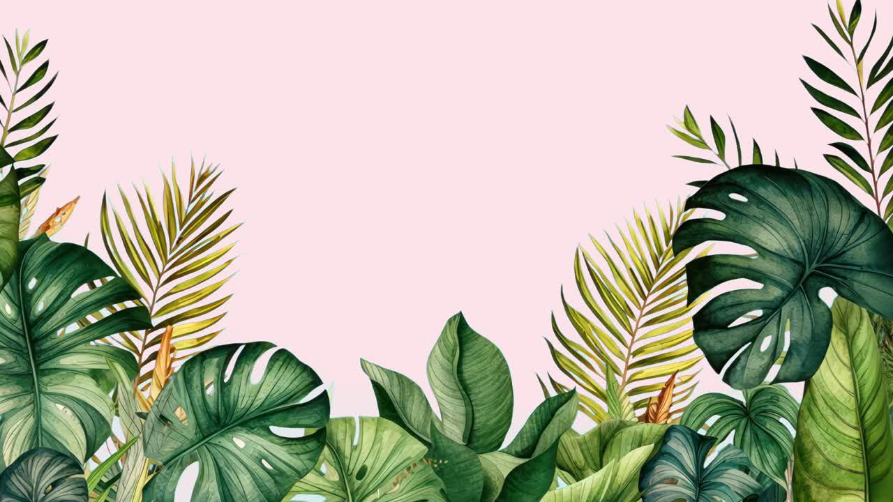 Tropical leaves border animation, transparent 4K video, green screen