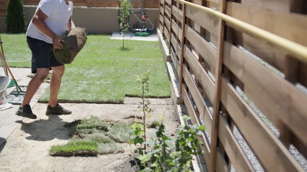 Roll of new natural grass turf installed by professional gardener. Landscaping industry.