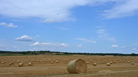 numerous round hay bales are spread across a freshly harvested field under a clear blue sky with light clouds. time lapse video of the moving clouds