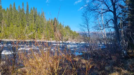 Nature shot of the Åre River flowing rapidly toward Tännforsen waterfall and continuing into Lake Åre, surrounded by Sweden’s pristine forest landscape