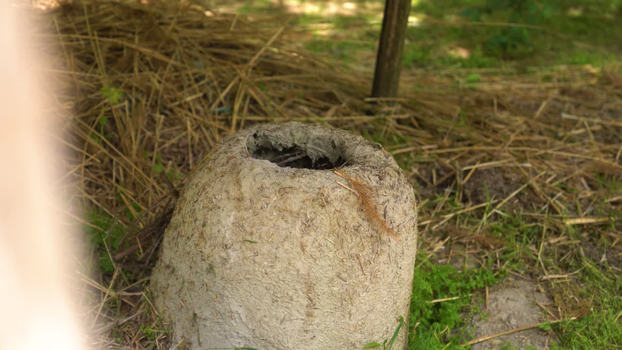 Clay furnace structure positioned on the ground in forest clearing