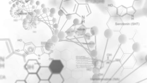 estructuras químicas y procesamiento de datos contra un fondo blanco