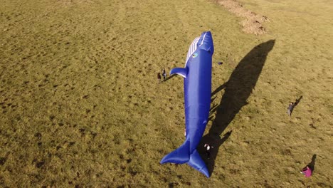 Evento-De-Aeromodelismo-Con-Vista-Aérea-En-Buenos-Aires-Durante-El-Día-Soleado---Cometa-De-Ballena-Volando-Sobre-El-Campo-Con-Niños-Jugando