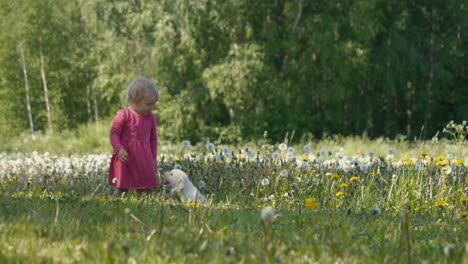 Linda-Niña-Sonriente-Con-Perro-De-Familia-Feliz,-Cachorro-De-Golden-Retriever,-En-El-Parque-De-Verano