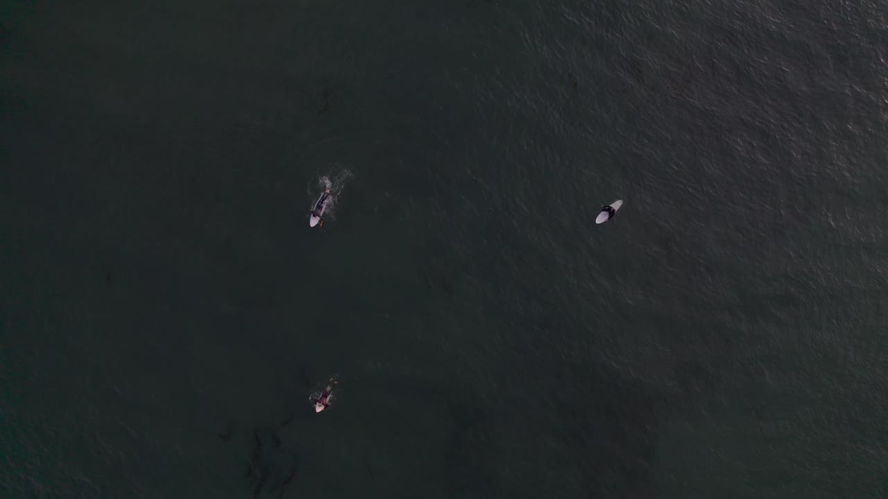 세 명의 서퍼가 파도를 타고 노를 젓는 공중 오버헤드