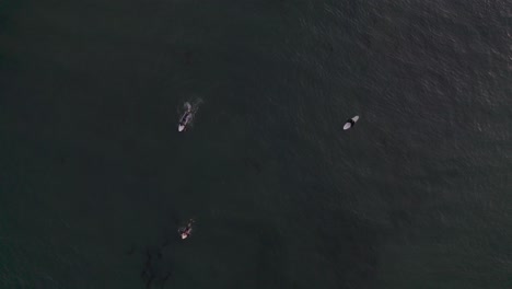 aerial overhead of three surfers paddling for and surfing a wave