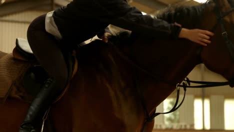 pretty brunette with her horse