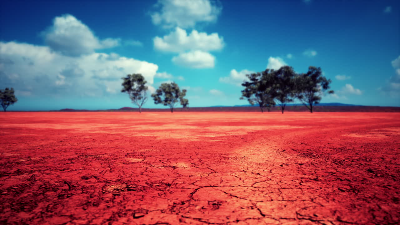 tierra mal agrietada bajo un sol abrasador