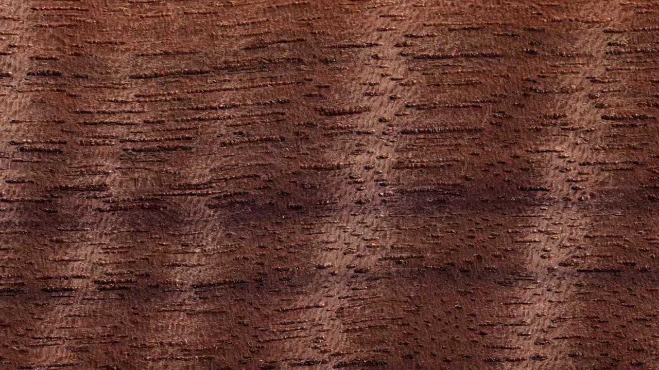 Wood Textures and Patterns