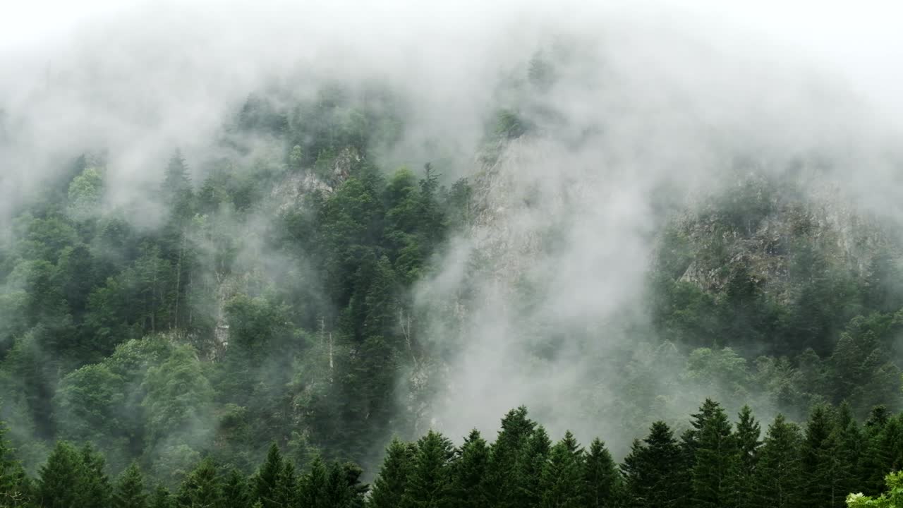 Beautiful fast moving clouds moving over mountain forest and cliffs revealing ghost trees, ethereal moody landscape