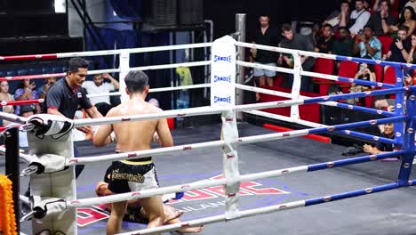 intense muay thai fight with knockout moment