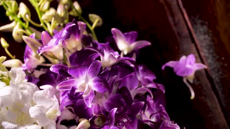 4k hermosa orquídea púrpura fresca, de cerca