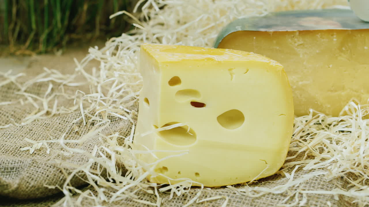 다양한 종류의 치즈 조각들이 가게 앞에 아름답게 늘어서 있다