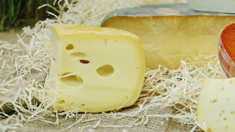 pieces of cheese of different varieties beautifully lined in the storefront